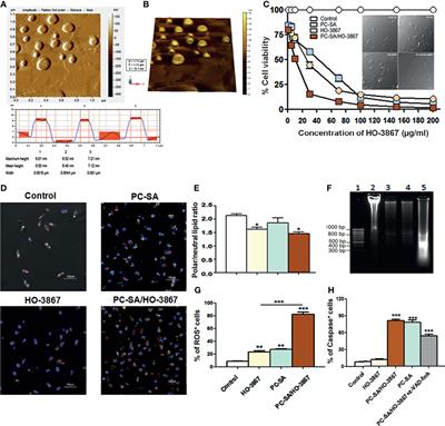 HO-3867 Induces ROS-Dependent Stress Response and Apoptotic Cell Death in Leishmania donovani